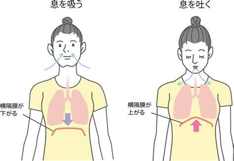 セックス過呼吸|性行為 過呼吸について 